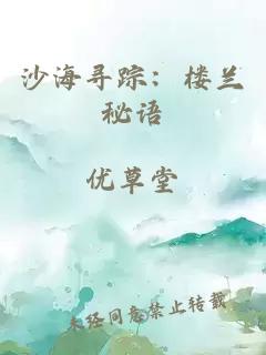 沙海寻踪：楼兰秘语